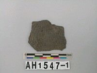 藏品(灰黑色夾砂陶片)的圖片